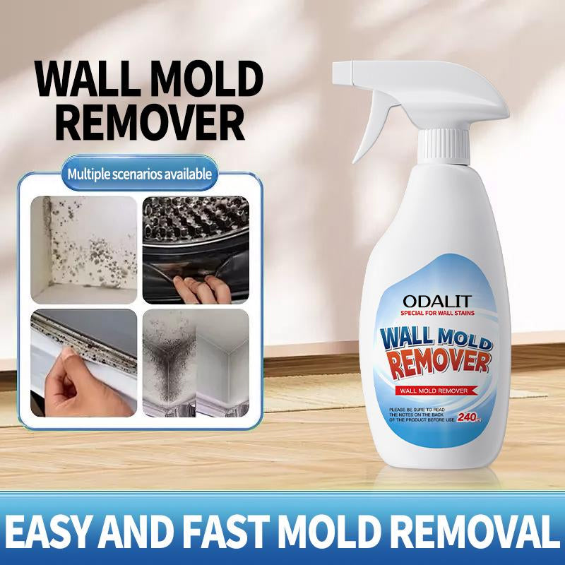 🔥LAST DAY PROMOTION 50% OFF -🏡Highly Effective Mould Removal Spray