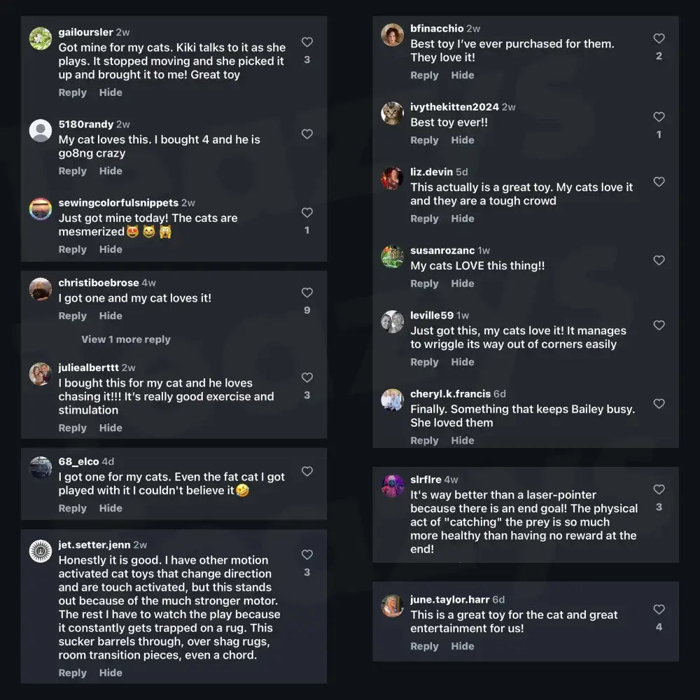 Smart chasing cat toy ball 😸