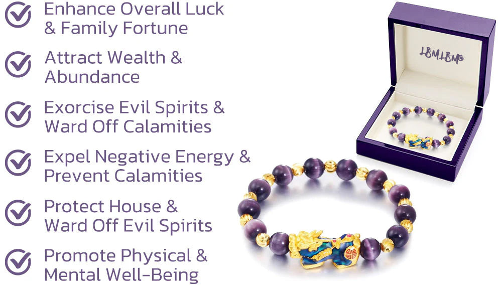 💴💴💴LBMLBM® FengShui Pi Xiu Amethyst Bracelet