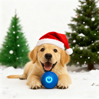 Pet Bounce Ball for Cats🐱 & Dogs🐶