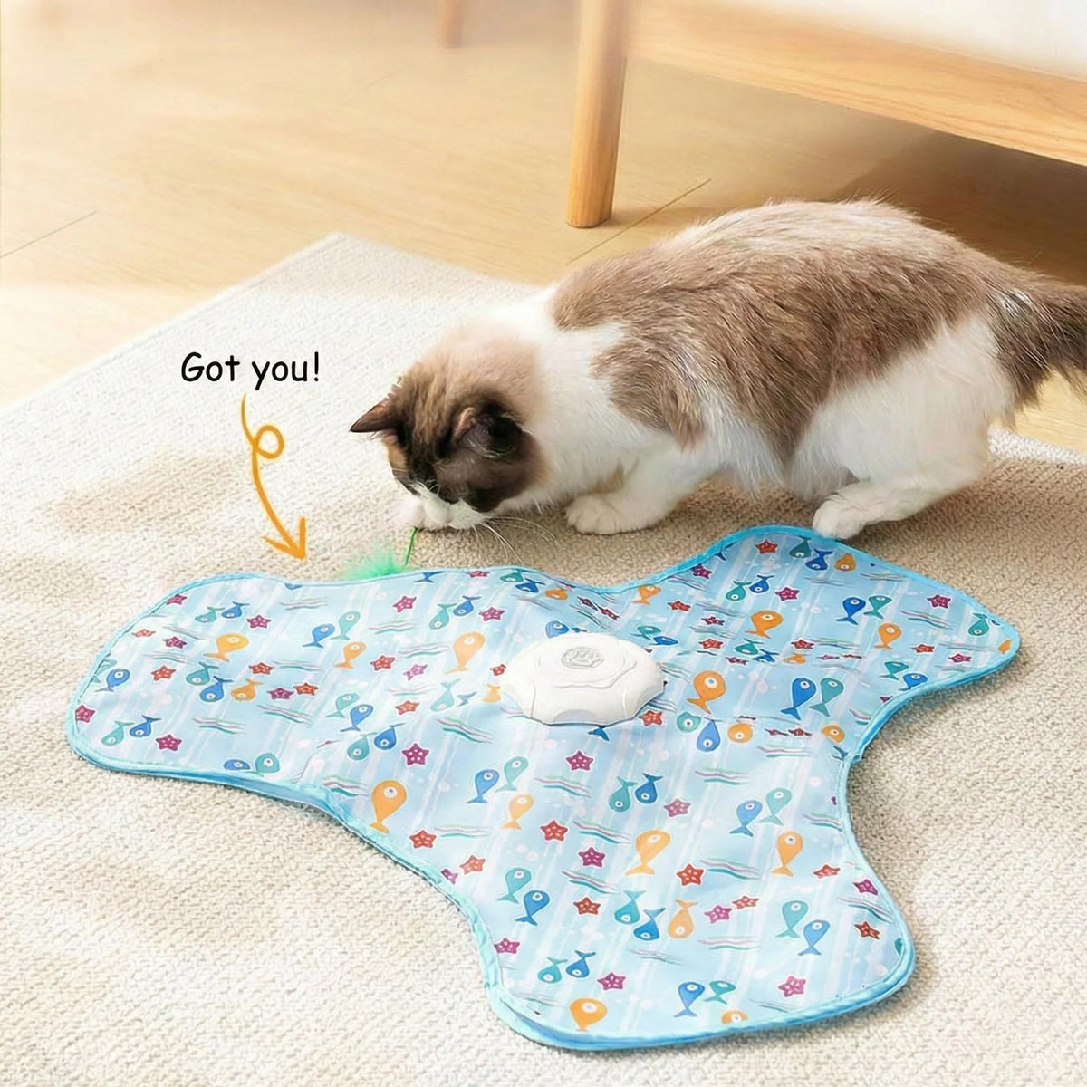 [FINAL DAY] 49% OFF 🐱🐾 Unleash the Hunter Within: The Ultimate Hide & Seek Cat Toy