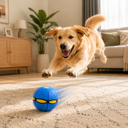 🐕2-in-1 Doggy Disc Ball – Interactive Frisbee & Chase Ball Toy🐾