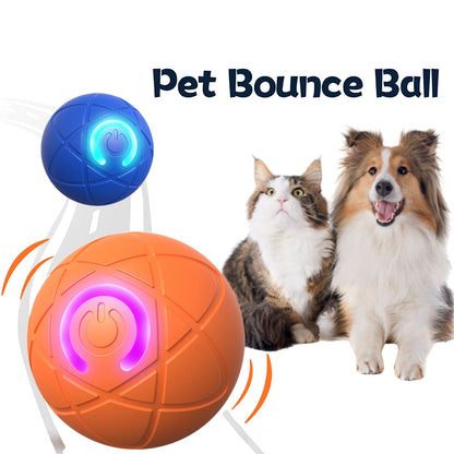 2025 New Release -50% Off - Pet Bounce Ball for Cats🐱& Dogs🐶