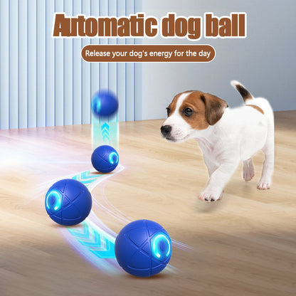 💥50% Off - Pet Bounce Ball for Cats🐱 & Dogs🐶