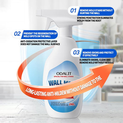 🔥LAST DAY PROMOTION 50% OFF -🏡Highly Effective Mould Removal Spray