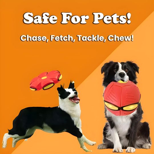 2-in-1 Doggy Disc Ball – Interactive Frisbee & Chase Ball Toy🐾