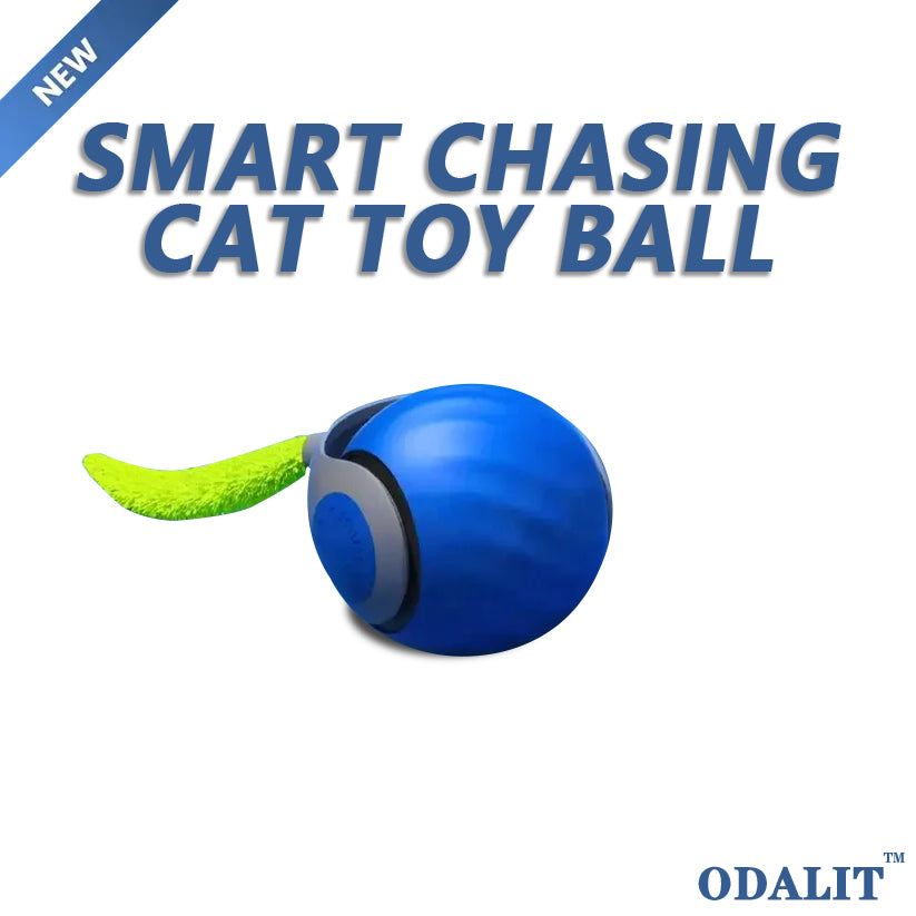 Smart chasing cat toy ball 😸