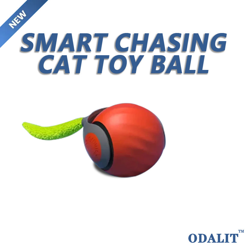 Smart chasing cat toy ball 😸