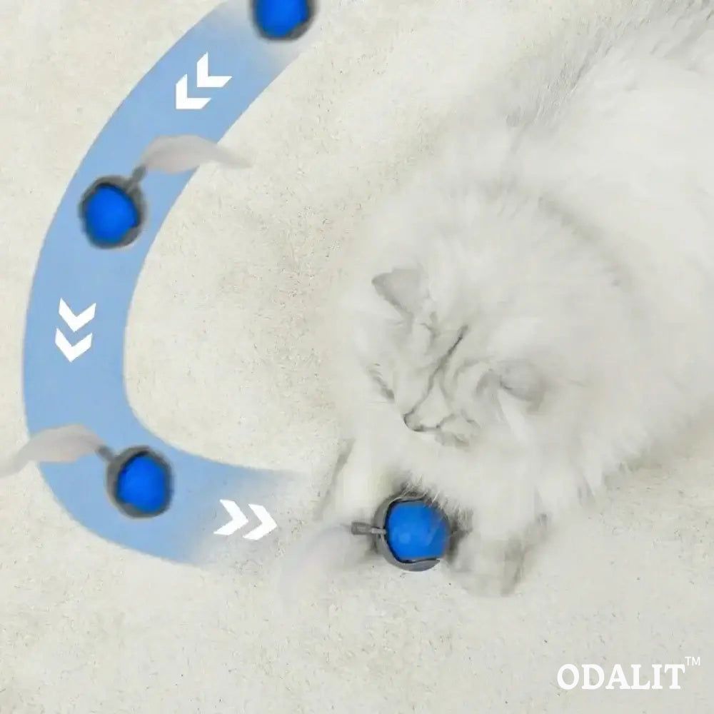 Smart chasing cat toy ball 😸
