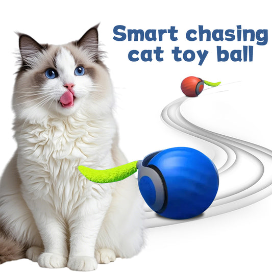 Smart chasing cat toy ball 😸