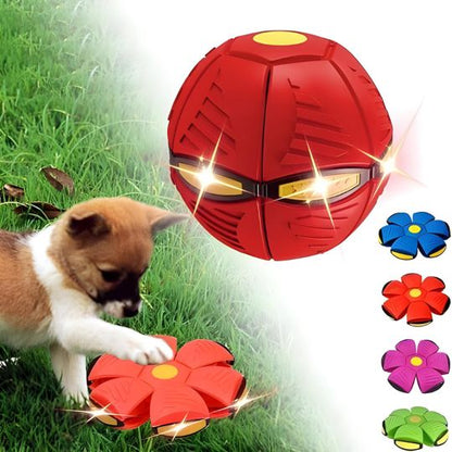 2-in-1 Doggy Disc Ball – Interactive Frisbee & Chase Ball Toy🐾