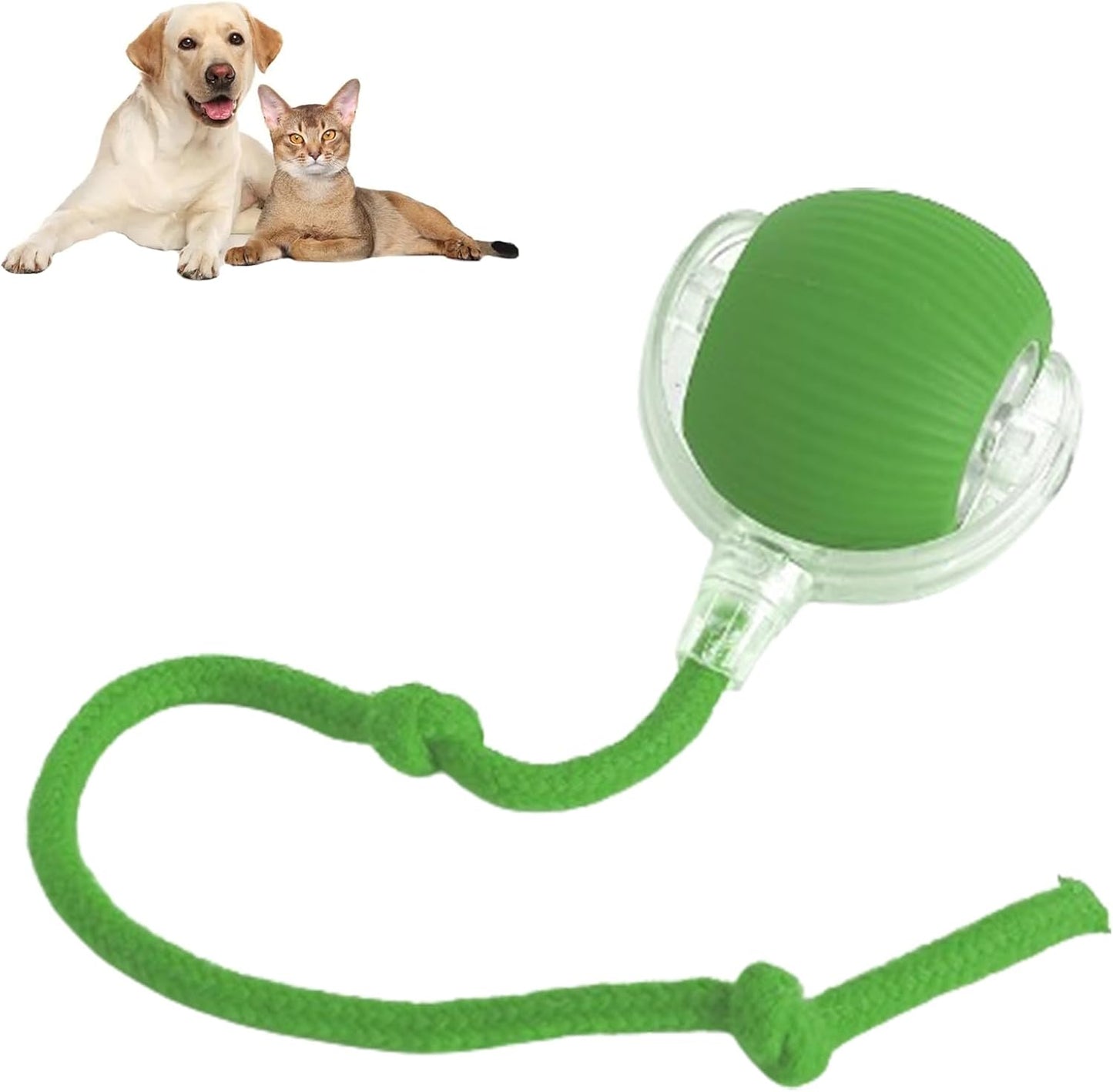ODALIT™ smart chase pet toy ball