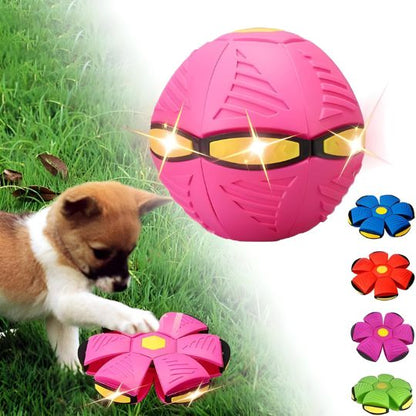 2-in-1 Doggy Disc Ball – Interactive Frisbee & Chase Ball Toy🐾