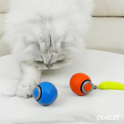 Smart chasing cat toy ball 😸