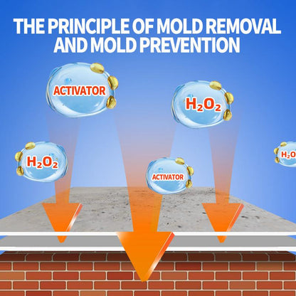 🔥LAST DAY PROMOTION 50% OFF -🏡Highly Effective Mould Removal Spray
