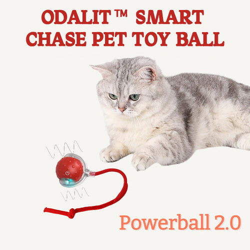 ODALIT™ smart chase pet toy ball