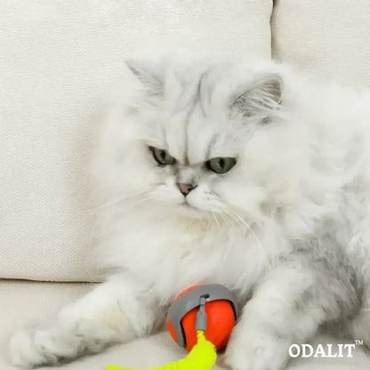 Smart chasing cat toy ball 😸