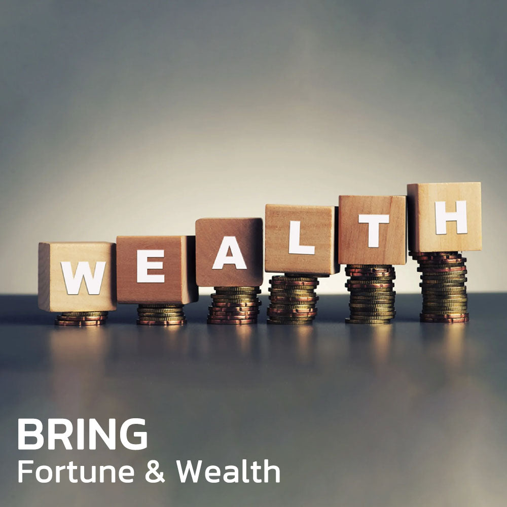 💴💴💴LBMLBM® FengShui Pi Xiu Amethyst Bracelet