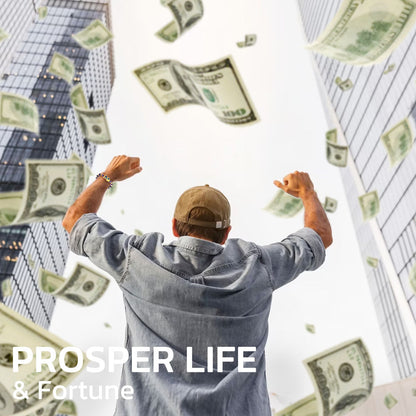 💴💴💴LBMLBM® FengShui Pi Xiu Amethyst Bracelet