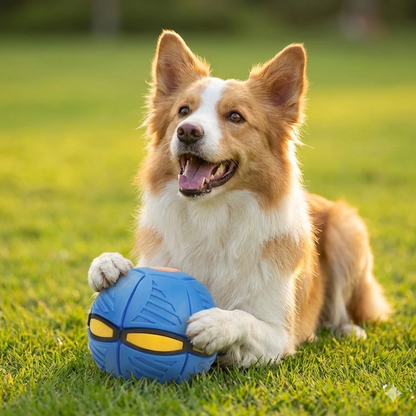 Doggy Disc Ball - Interactive Toy for Pups