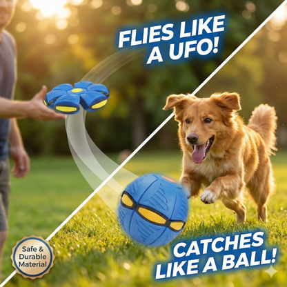 Doggy Disc Ball - Interactive Toy for Pups