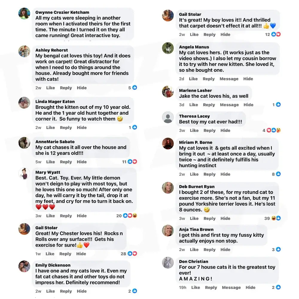 Smart chasing cat toy ball 😸