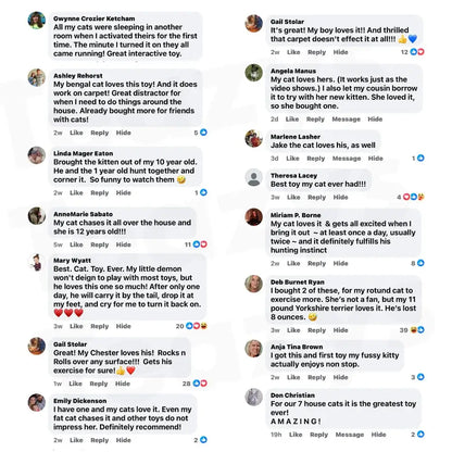 Smart chasing cat toy ball 😸