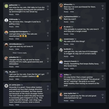 Smart chasing cat toy ball 😸