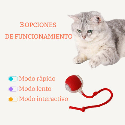 ODALIT™ smart chase pet toy ball