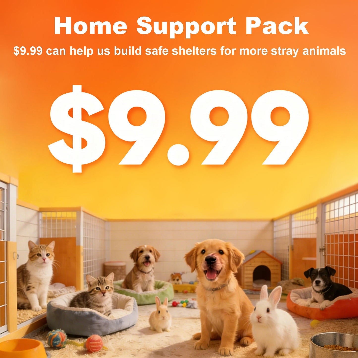 I need help adding a little love for my furry friend! Willing to donate to。