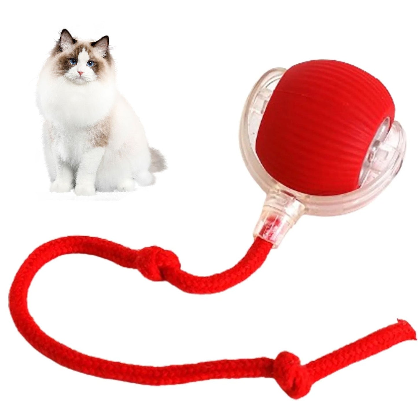 ODALIT™ smart chase pet toy ball