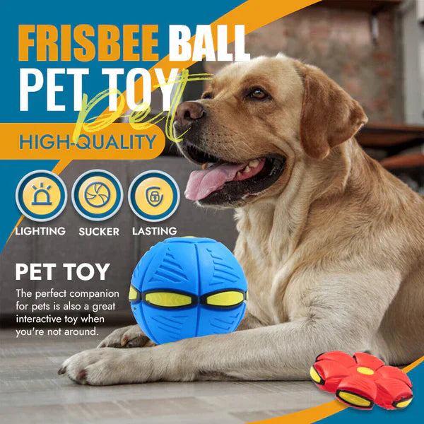 2-in-1 Doggy Disc Ball – Interactive Frisbee & Chase Ball Toy🐾